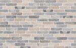 Клинкерный кирпич Petersen Tegl Bricks D81 Musching D72/D91, DNF 228x108x54 мм — изображение 2
